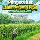 Polrestabes Bandung Lakukan Pengecekan Lahan Jagung Pipil untuk Mendukung Ketahanan Pangan Nasional
