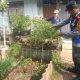 Bhabinkamtibmas Pasir Biru Monitoring Program Ketahanan Pangan di Buruan Sae