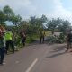 Gerak Cepat, Personel Polsek Donorojo Bersama Warga Evakuasi Pohon Tumbang di Jalur Benteng Portugis