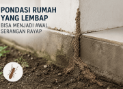 Pondasi Rumah yang Lembap Bisa Menjadi Awal Serangan Rayap