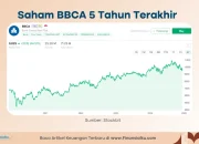 BBCA Tebar Dividen Rp20 Per Saham, Apakah Ini Momen yang Tepat untuk Membeli Saham BBCA?