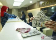 Pemerintah Siapkan Strategi Baru: Dari Panda Bond Hingga BBM Baru