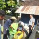 Panen 56 Kilogram Ikan Lele di Lahan SAE, Lapas Kelas IIB Pati Perkuat Pembinaan Kemandirian dan Ketahanan Pangan