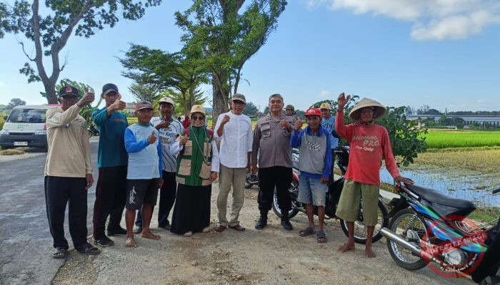 Polsek Banyudono Monitor Pemberantasan Wereng Serentak dengan Drone