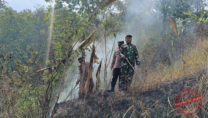 Cegah Kebakaran Meluas, Polsek Ajibarang Banyumas Bersama Forkopimcam Padamkan Api Di Lahan Perhutani