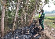 Polsek Jatiroto Cek Laporan Titik Api di Perkebunan Warga, Ditemukan Bekas Kebakaran Daun Kering