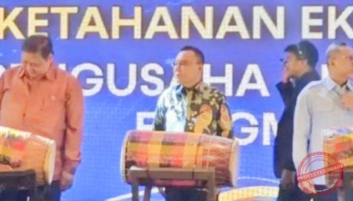 Jaga Stabilitas Nasional, Dasco Dorong APINDO Edukasi Pekerja Bermedia Sosial