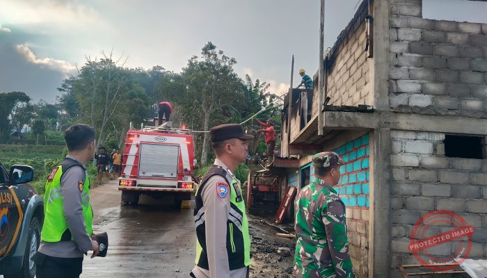 Kandang Ayam di Slogohimo Terbakar, 7.000 Anak Ayam Selamat, Kerugian Ditaksir Rp700 Juta