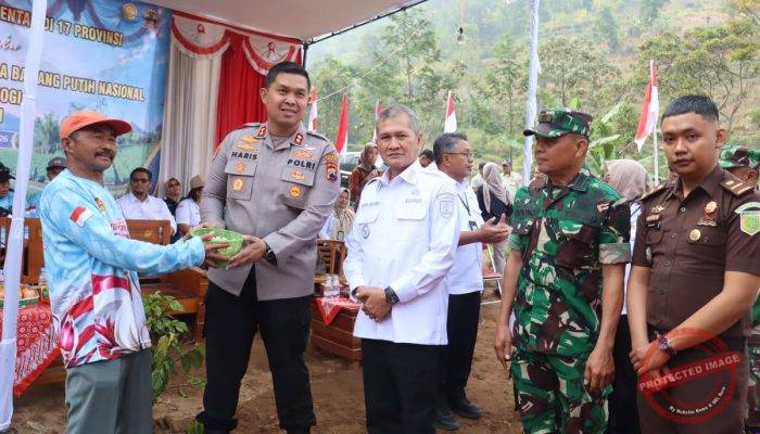 Bawang Putih Jadi Harapan Baru Petani Wonogiri untuk Ketahanan Pangan