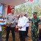 Bawang Putih Jadi Harapan Baru Petani Wonogiri untuk Ketahanan Pangan