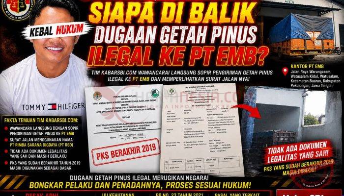 PKS Sudah Berakhir, Pengiriman Masih Berjalan:Siapa di Balik Dugaan Getah Pinus Ilegal Ke PT EMB