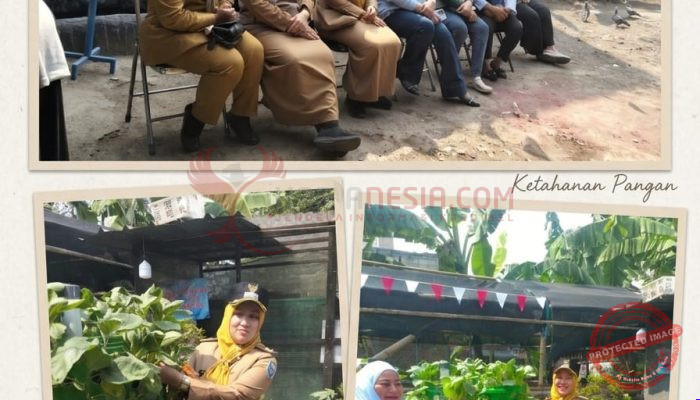 Sinergi Ketahanan Pangan, Lurah Cikutra dan PKK RW 09 Dorong Keberlanjutan Program Buruan Sae