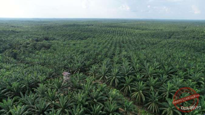 Grafik pergerakan harga saham BWPT yang turun 10,28% ke level Rp96 pada Rabu 26 Agustus 2026
