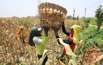 Pasokan biofuel terbatas — Pesawat komersial dan kapal laut sebagai prioritas pemanfaatan pasokan bahan bakar nabati atau biofuel.