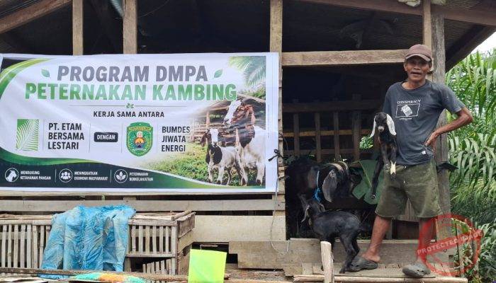 Desa Bebas Api: Cegah Karhutla dan Untung Rp50 Juta