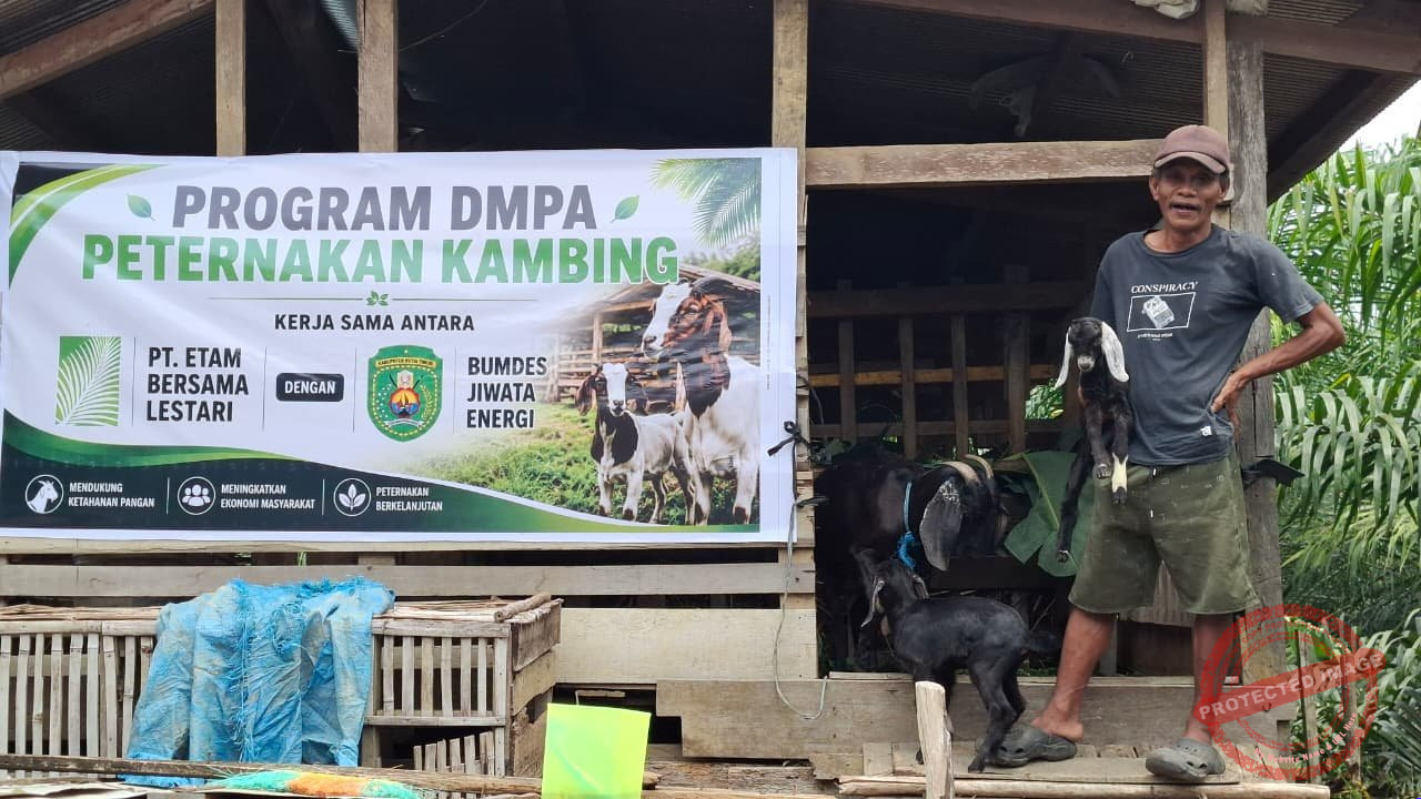 Desa Bebas Api — Ilustrasi pencegahan kebakaran hutan dan lahan di desa dengan insentif Rp50 juta