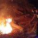 Api Bakar Daun Kering disertai Hembusan Angin Kencang, Bakar Lahan Milik Warga Pabelan
