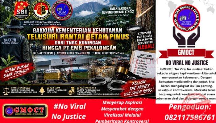 Gakkum Kementerian Kehutanan Tuntaskan Pulbaket Getah Pinus TNGC, Rantai Penampungan Hingga PT EMB Diminta Dibuka Terang