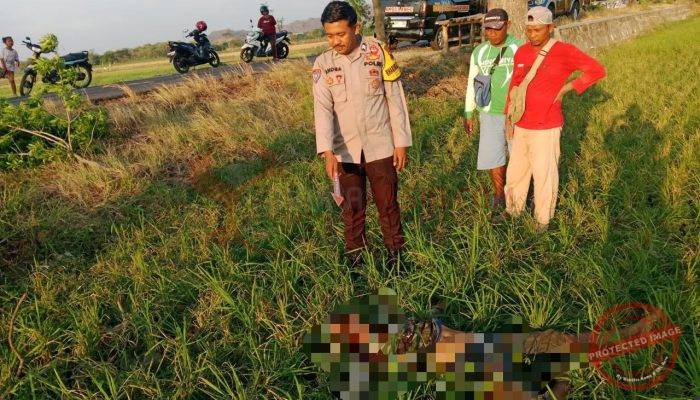 Warga Selogiri Meninggal Usai Jatuh dari Pohon, Polisi Pastikan Tidak Ada Tanda Penganiayaan