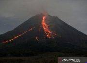 Gunung Merapi Masih Siaga, 100 Kali Guguran Lava dalam Sepekan