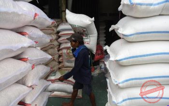 Bulog Gelontorkan 300 Ribu Beras Premium untuk Tekan Harga — Direktur Utama Bulog Ahmad Rizal Ramdhani memberikan keterangan pers di Jakarta