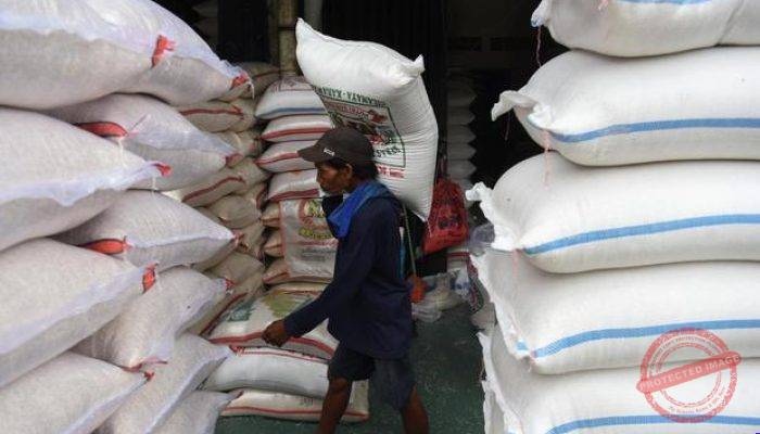 Bulog Gelontorkan 300 Ribu Beras Premium untuk Tekan Harga