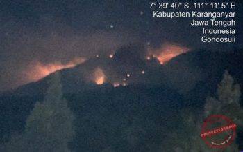 Kebakaran Gunung Lawu Hanguskan 230 Hektare — Ilustrasi kebakaran hutan di lereng Gunung Lawu dengan asap tebal dan titik api terlihat di area lahan terbakar