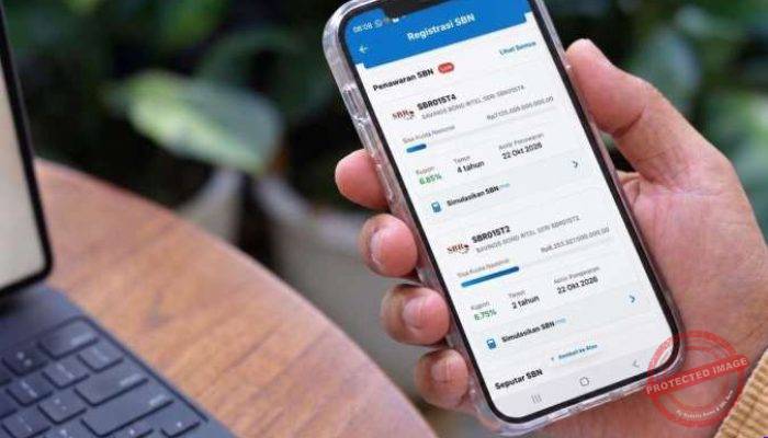 Milenial Dominasi Investor SBR015, Penjualan Rp 17 Triliun