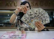 Faktor Rupiah Tertekan hingga 18.000 per Dolar AS — Gubernur Bank Indonesia Destry Damayanti menjelaskan faktor yang menekan nilai tukar rupiah terhadap dolar AS