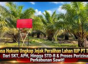 Kuasa Hukum Budhiarto ; Jejak Lahan IUP PT Timah, SKT Masyarakat Beralih ke APH” Kemudian Terbit STD-B Atas Nama Rudy dan Luci