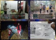 Terbaring Lemas di Persawahan Miri, Lansia 78 Tahun Dievakuasi Polisi, Keluarga Sampaikan Terima Kasih